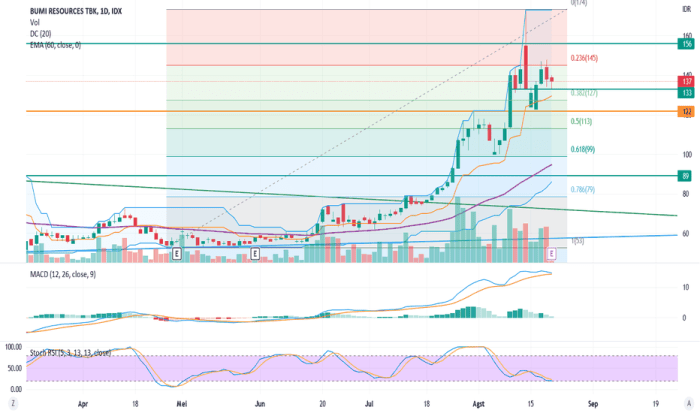 Chart dan Harga Saham BUMI — IDX:BUMI — TradingView Kinerja saham BUMI yang melonjak tajam hari ini
